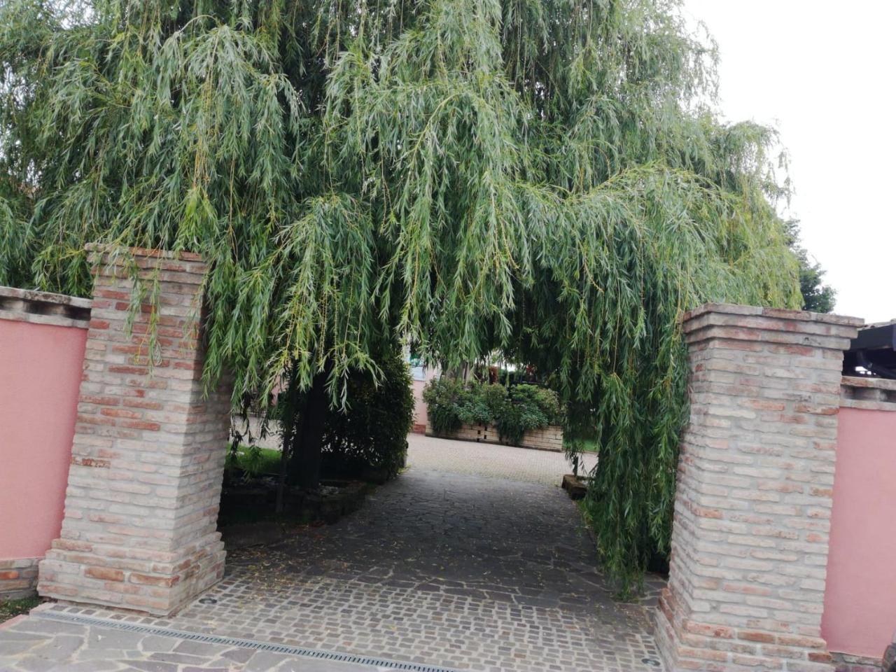 Agriturismo Ferretti Villa Massa Lombarda Exterior photo